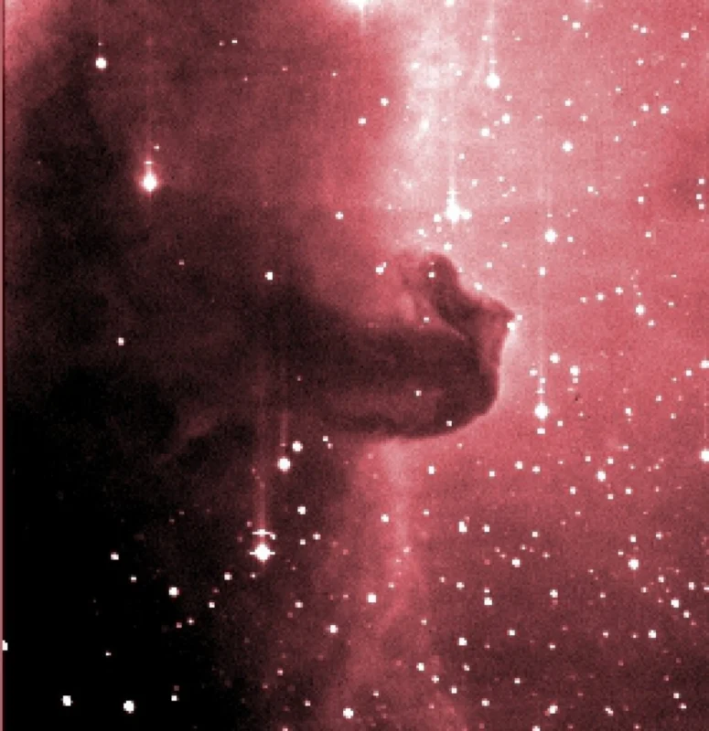 Mlhovina Koňská hlava (upraven do nepravých barev) byl pořízen v noci 28. února 2003 1.06-m teleskopem KLENOT se CCD kamerou Photometrics Serie 300 Observatoře Kleť expozicí 60 sekund. Zobrazené pole má 15 x 15 úhlových minut.